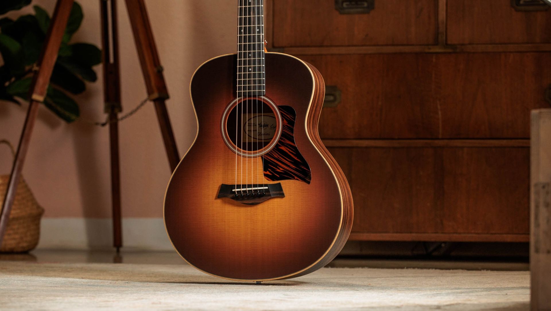 Taylor-GS Mini-e-Rosewood-SB-